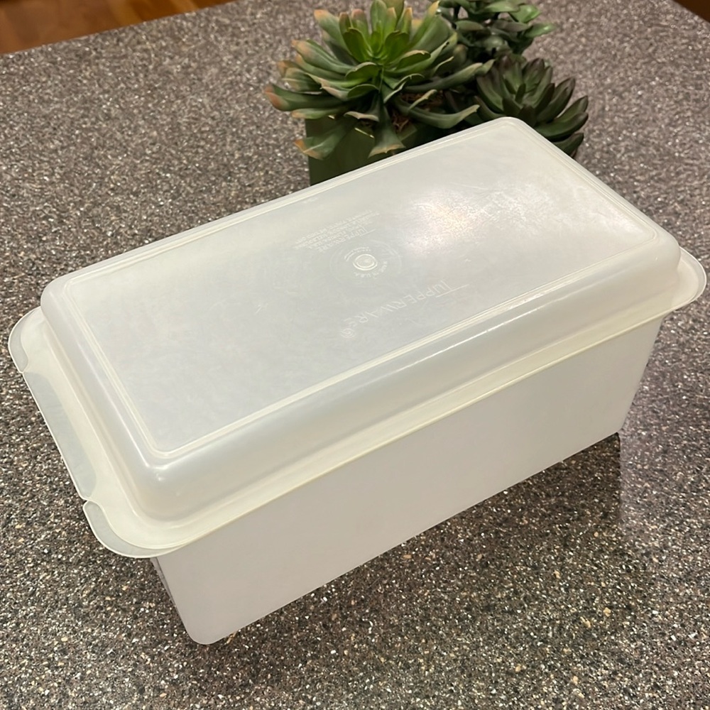 Vintage Tupperware Bread Keeper